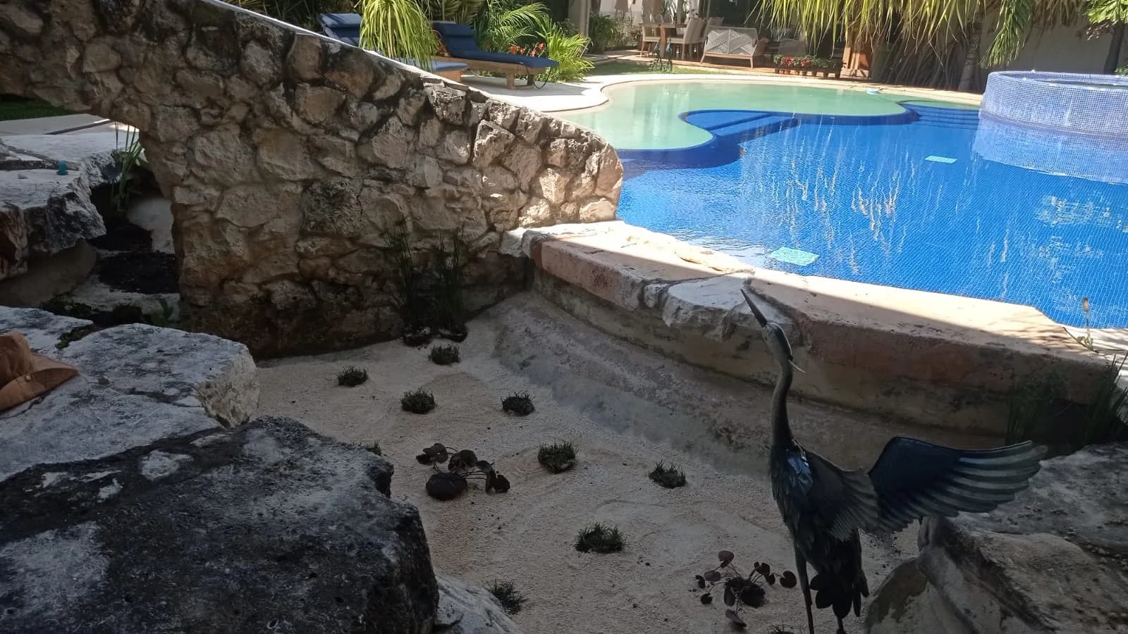 Estanque circular con fuente - 8