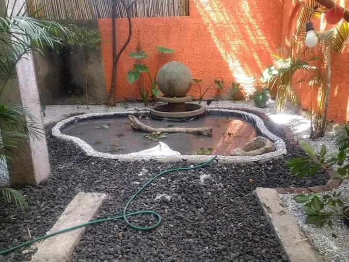 Estanque rústico con muro de piedra - 3