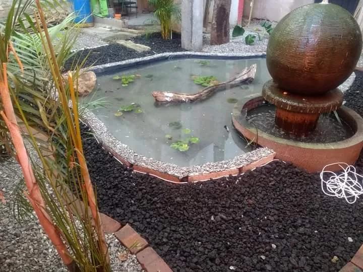 Estanque rústico con muro de piedra - 4