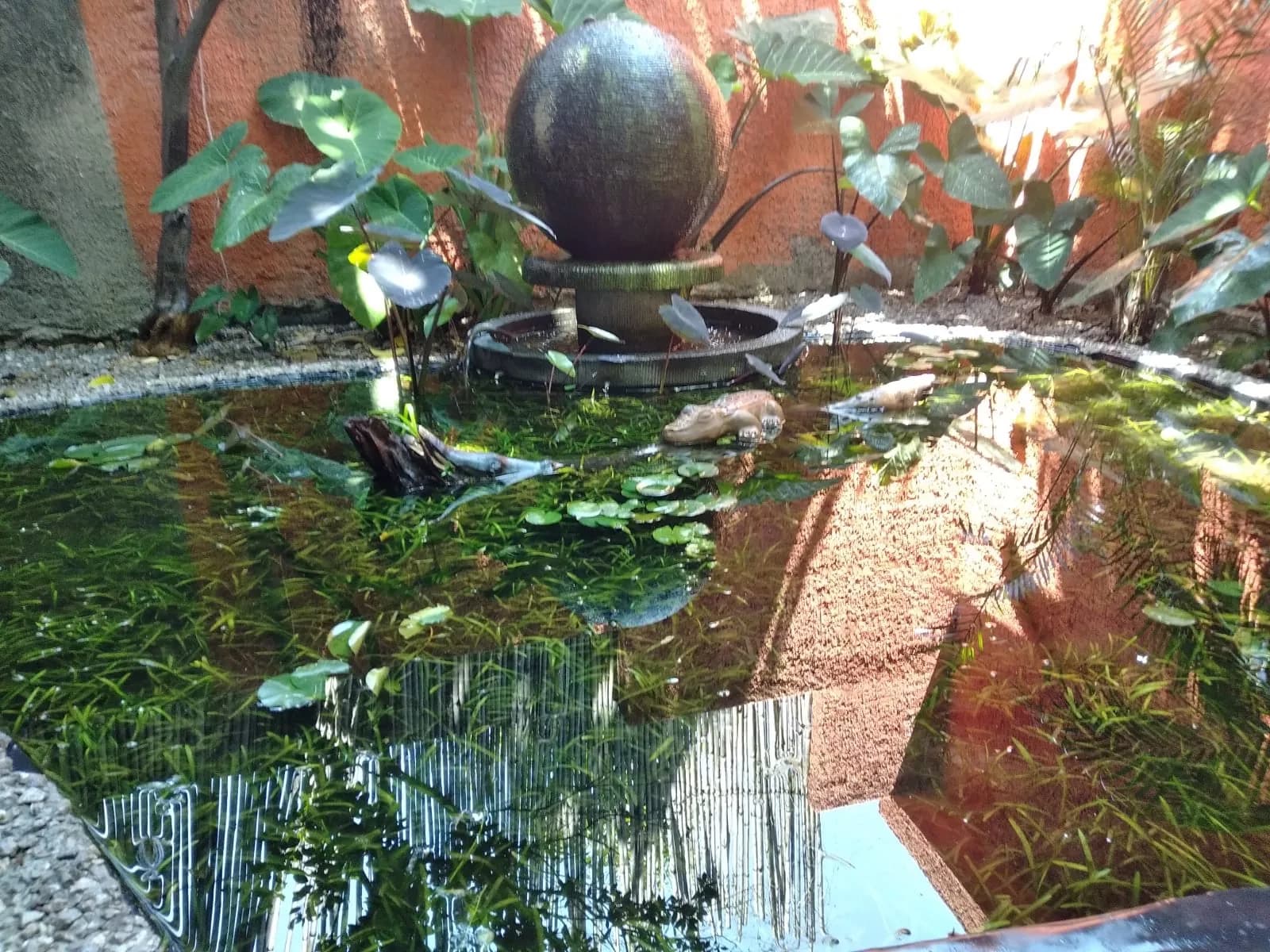 Estanque rústico con muro de piedra - 5